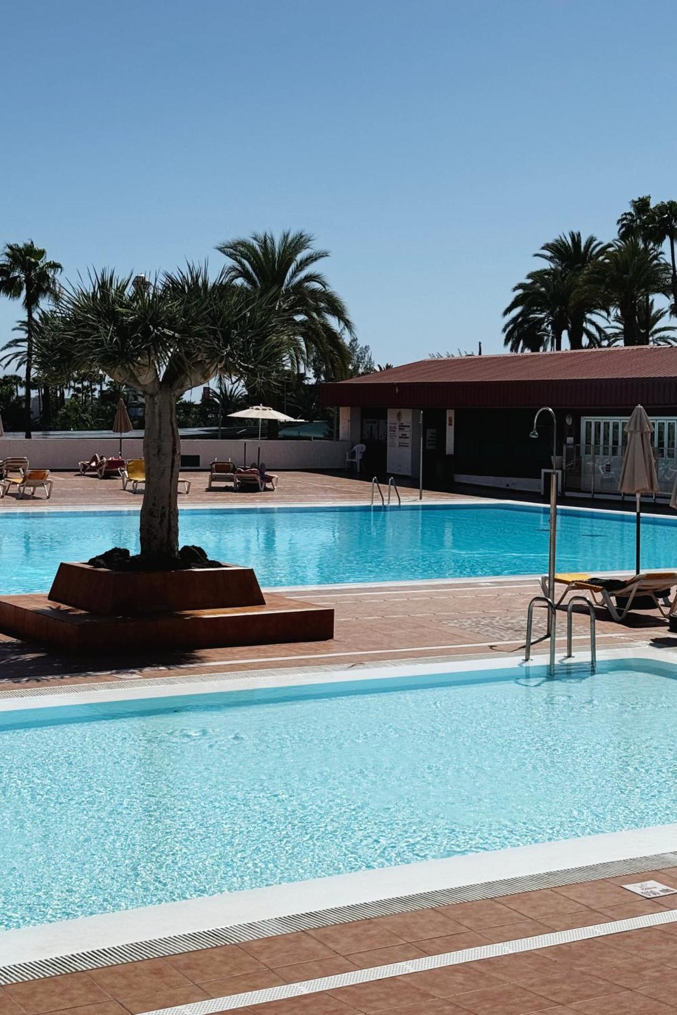 Lovely Apartment In San Agustin: Steps Away From Playa Del Ingles And Maspalomas! San Bartolomé Dış mekan fotoğraf
